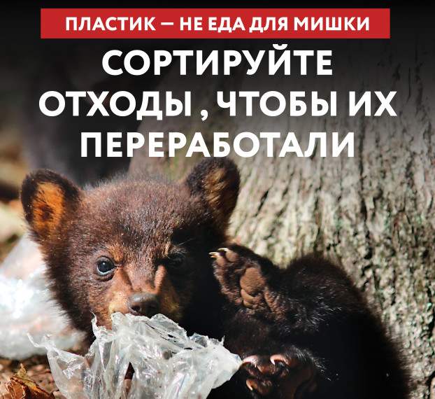 Животные и мусор.